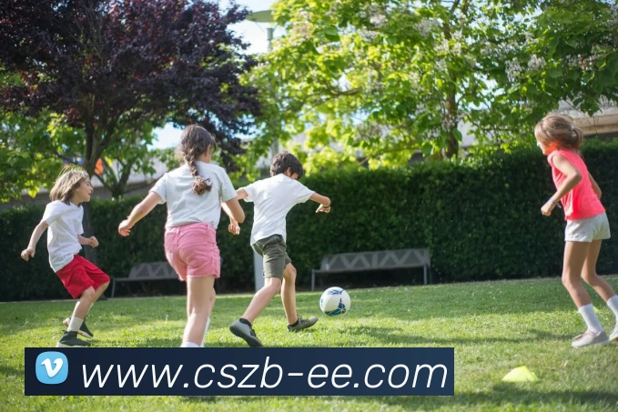 App Interface Preview